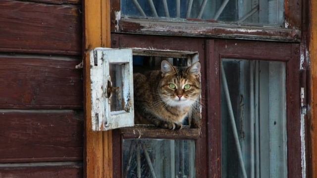 ВЕРА БУТКО и ДМИТРИЙ ЖОЛОНКО 