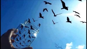 Виталий Гиберт - Медитация прощения