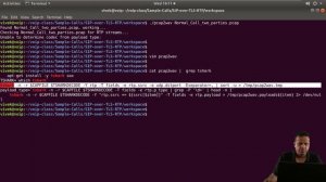 SIP over TLS + RTP: Patching Pcap2Wav to Extract Audio