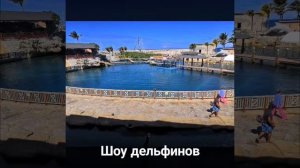 Незабываемое посещение  Ocean world Adventure Park в Доминикане