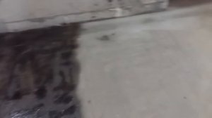 Чем и как покрыть бетонный пол в гараже