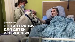 Пони-терапия для детей и взрослых