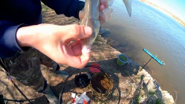 Рыбалка на фидер в мае 2020года смотреть онлайн