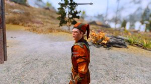 Skyrim ٠ Что Будет Если Сдать Цицерона Стражнику в квесте "Запоздалые Похороны"