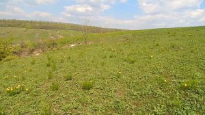 Белгородская область, Волоконовский район, с.Погромец