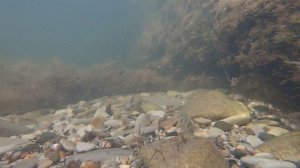 РЫБАЛКА НА ЧЁРНОМ МОРЕ В КАБАРДИНКЕ,ПОДВОДНАЯ СЪЁМКА.