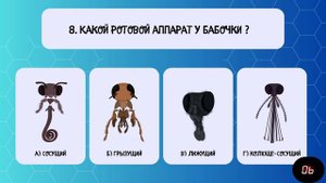 Мини-квиз "Насекомые"