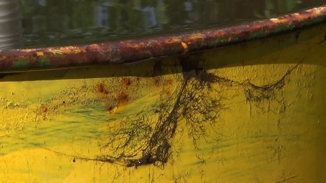 после дождя смотреть онлайн