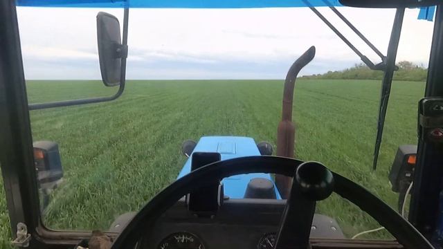 Гербицидная обработка озимой пшеницы 2019. Прима+гранстар по флаговому листу