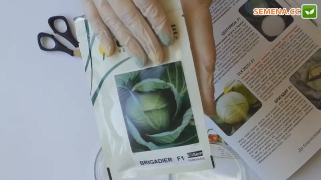 Антифейк капуста Бригадир Clause смотреть онлайн