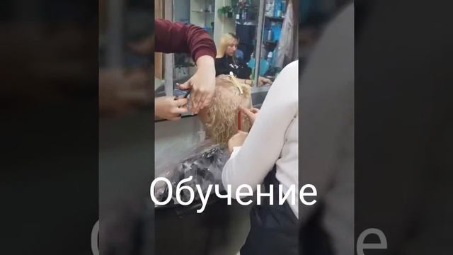 Курсы в Пушкино смотреть онлайн