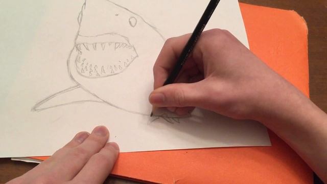How to draw a Mako Shark смотреть онлайн