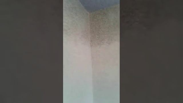 Житкий собой мастер мамка 0704184863 смотреть онлайн