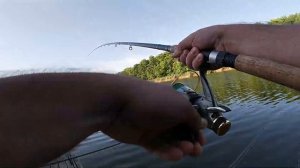 Ловля трофейного толстолоба в Краснодаре на базе Даль