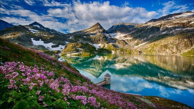 - Ты хотела все заботы по квартире на меня свалить? Я ведь продукты покупаю за свой счет смотреть онлайн