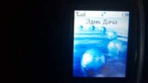 Samsung SGH-X450 Исходящий вызов/Outcoming call