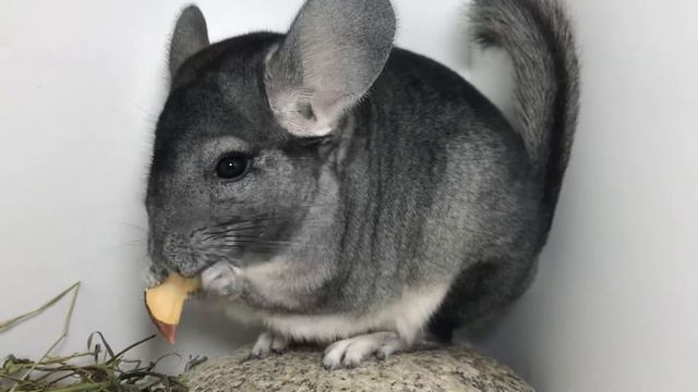 464д 30.11.19 смотреть онлайн