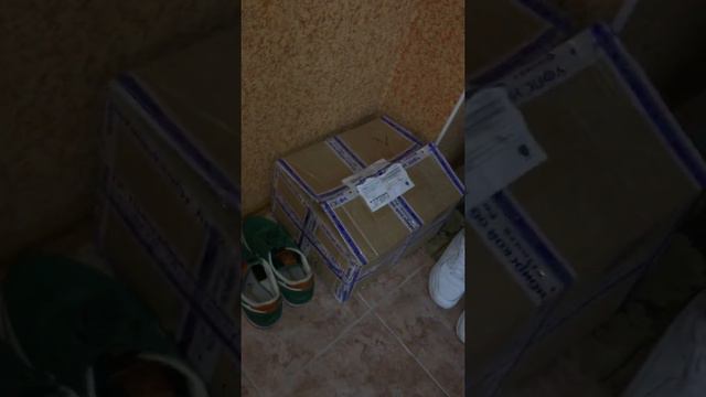 Кошка спряталась :) смотреть онлайн