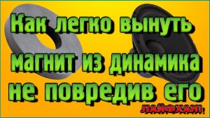 Как легко вынуть магнит из динамика не повредив его