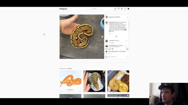 Justin Kobylka Reptiles Ball Python Morph Combos | Breeder Spotlight | Jack's Reptiles