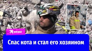 В Турции спасатель достал из-под завалов кота и стал его хозяином
