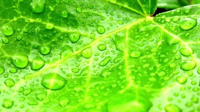 Ни о чем не жалейте на стихи Андрея Дементьева смотреть онлайн