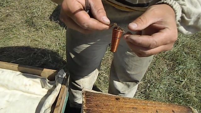 СПИРАЛЬ ДЛЯ МАТОЧНИКА