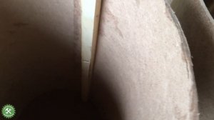 Как сделать ловушку для поимки роев своими руками