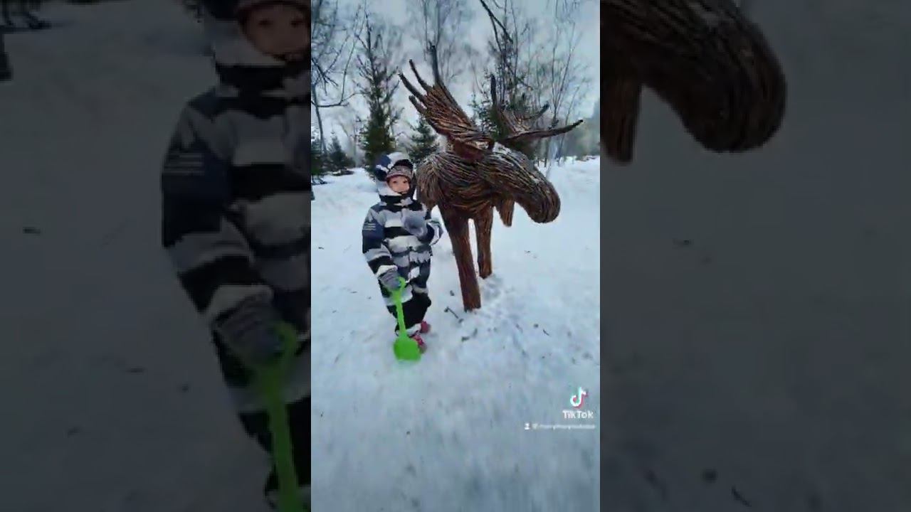 Маша в лесу и лось! #shorts #marylike #маша #топ #видеодлядетей #хочуврек #паркизумрудный #лось смотреть онлайн