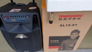 Караоке комбоусилитель #Temeisheng SL15-01