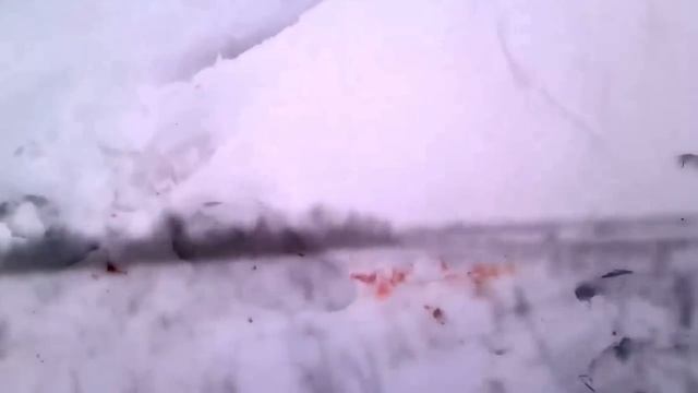 Hunting for Raven/Охота на ворона с иж-27,дробь №0 смотреть онлайн