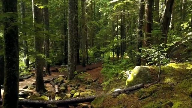 Гарри Поттер и Философский камень. смотреть онлайн