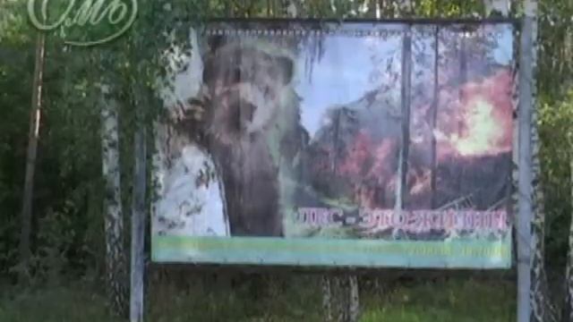 Лесные пожары смотреть онлайн