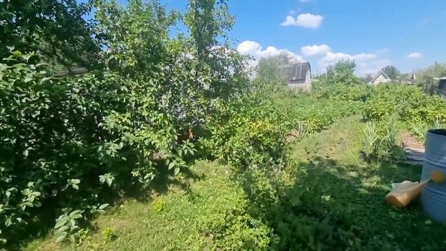 Г.Барнаул  п.Бельмесево. Продаётся дача смотреть онлайн