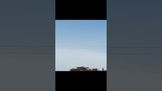 Осеннее, ?туманное ?утро на даче в Кольцово