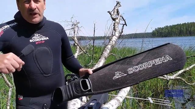 Что входит в минимальный комплект снаряжения для подводной охоты