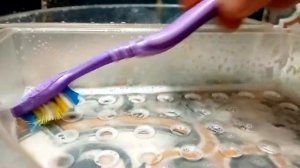 Как убрать известковый налет