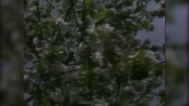 Поет Татьяна Филимонова Вечерний звон