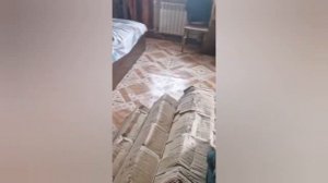 Безумный Паша и Иришка делают ремонт,Олег Монгол ищет Таню,Таня ушла от Олега Монгола