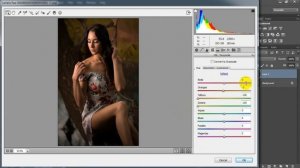 Pro Black Tone - Camera Raw Presets Free Download - Color Grading Photoshop Tutorial