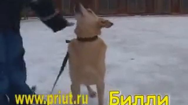 Билли смотреть онлайн