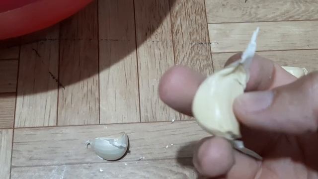 Правильная посадка чеснока.