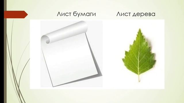 Урок русского языка "Омонимы" смотреть онлайн