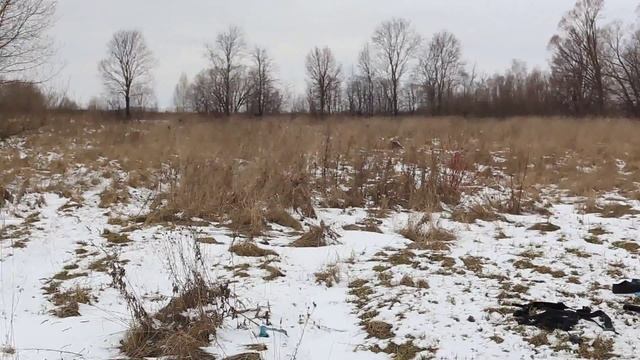 22 февраля 2014 года. Подводная охота. Новомичуринское водохранилище. смотреть онлайн