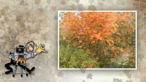 Школьный проект ProShow Produser