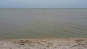 ЕЙСК. ПОГОДА В ЕЙСКЕ И ТЕМПЕРАТУРА ВОДЫ В МОРЕ НА 24 ИЮНЯ. ПАСМУРНО, НО ТЕПЛО. ЕЙСК. ОТДЫХ. Тутси.