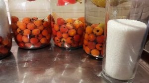 КОМПОТ ИЗ БОЯРЫШНИКА/КУЛИНАРИЯ В ТРЕНДЕ/Мамины рецепты/Кухня