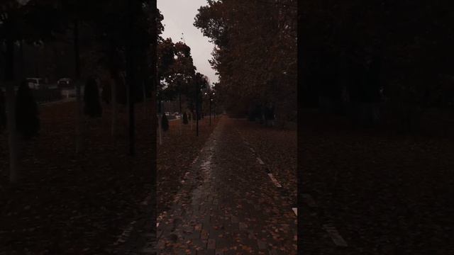 «Донбасс»