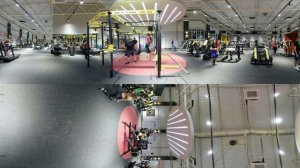 Alex fitness Левенцовка