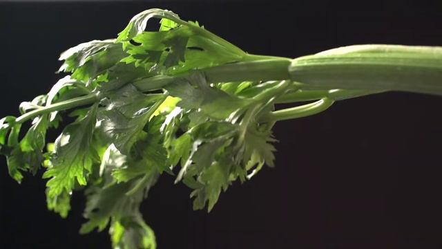 HUROM HZ Alpha смотреть онлайн